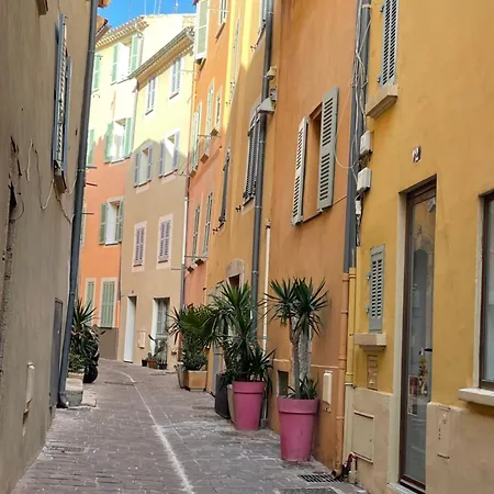 Le Palmae, Serenite Et Charme En Coeur De