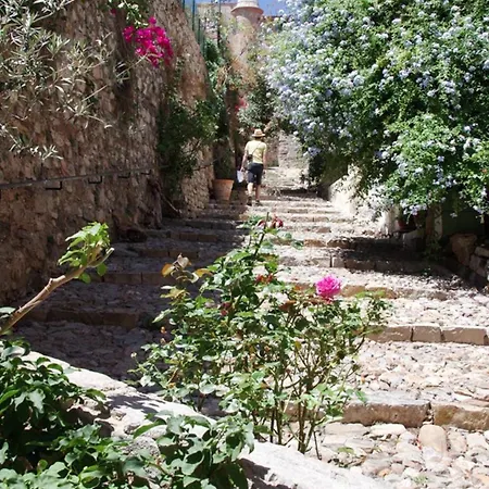Le Palmae, Serenite Et Charme En Coeur De Hyères